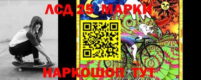 стаф Будённовск