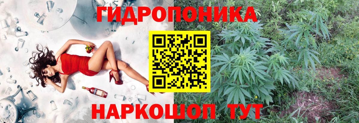 Канабис семена Полысаево